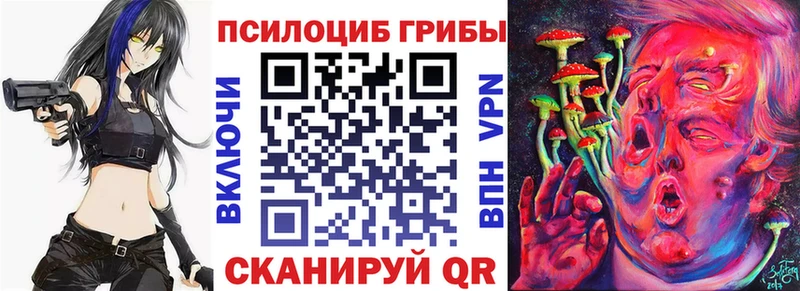 где продают наркотики  Нелидово  Псилоцибиновые грибы Psilocybine cubensis 